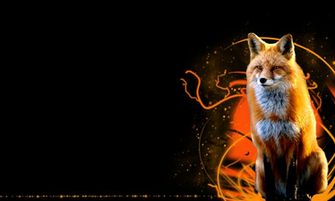 Fondos De Pantalla Zorros Wallpaper