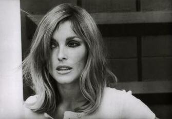 Sharon Tate Wallpaper Image Photos Pictures Background