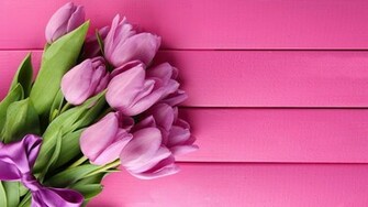 Pink Tulips Live Wallpaper Android Apps On Google Play