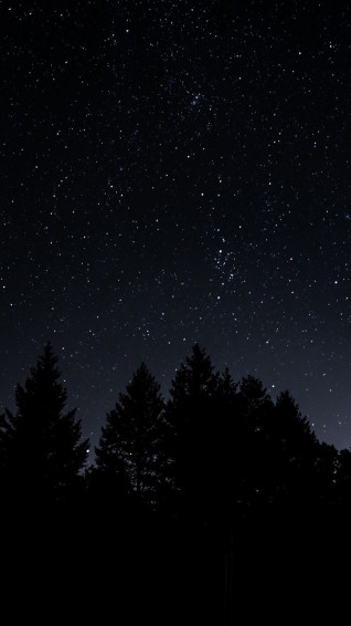 Sky Starry Trees Night Id Wallpaper