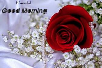 Muhammad Talib Good Morning Wallpaper Mt New