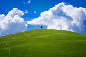 I Photographed Tuscany And It Looks Like The Classic Windows Xp