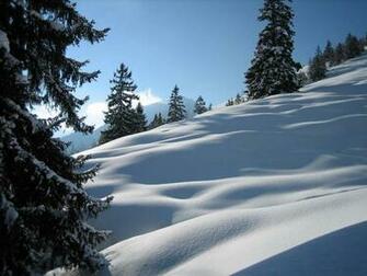 HD Widescreen Wallpaper Nice Winter Scenery Desktop