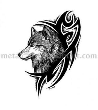 Tribal Wolf Pictures HD Wallpaper And