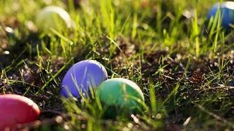 Easter Egg In The Grass Wallpaper Resolution