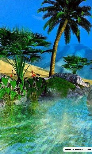 Tropical Paradise Live Wallpaper Android App