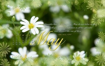 May Desktop Wallpaper Calendar Crosscards