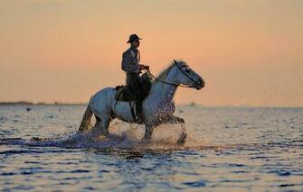 Man Riding Horse Crossing The Calm Sea During Daytime HD Wallpaper