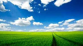 Pure Nature HD Wallpaper In Jpg Format For