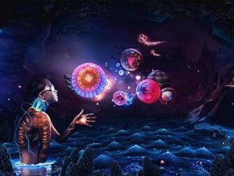 Human Evolution Designs Wallpaper