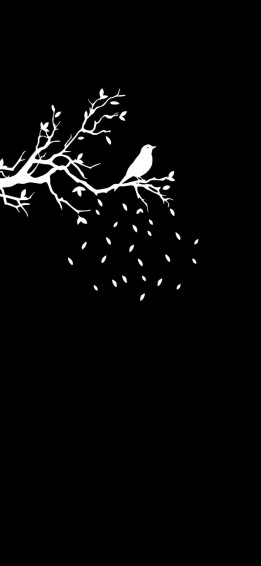 iPhone Wallpaper HD Black Amoled Aesthetic
