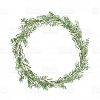 Watercolor Rosemary Wreath Hand Painted Branch Isolated