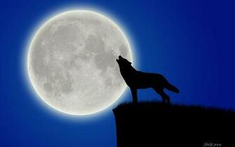 Gallery For Gt Cool Moon Background