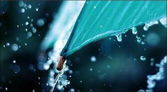 Summer Raindrops Close Up HD Desktop Wallpaper