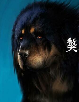 Tibetan Mastiff Wallpaper