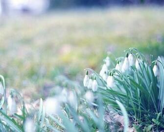 High Resolution iPad Air Wallpaper In Many Resolutions Bellow