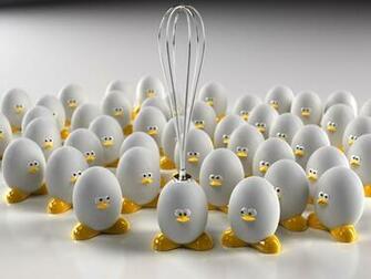 Egg Wallpaper And Background Image Id