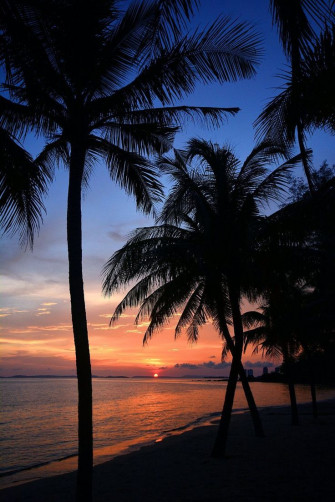 Pictures On In Sunset iPhone Wallpaper Beach