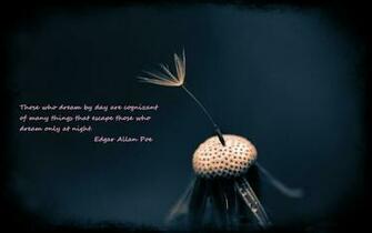 Allan Poe Wallpaper Text Desktop