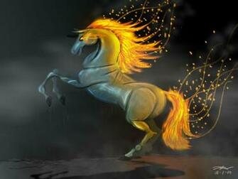 3d Horse Wallpaper Box