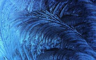 Wallpaper iPad Background Mac Os Windows Ice Crystals