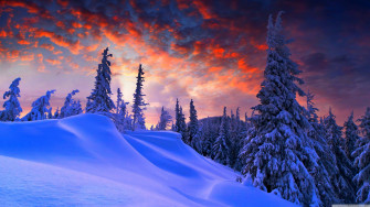 4k Winter Red Sky Wallpaper