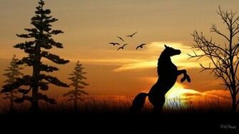 Horse Wallpaper Best
