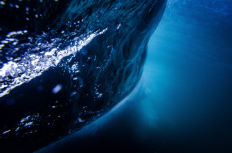 Perfect 4k Wallpaper Underwater You Can It