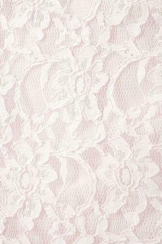 Lace Pink Cute Beautiful Pretty Flowers Flower
