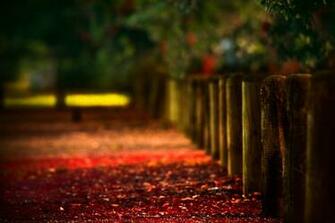 Beautiful Photography Wallpaper