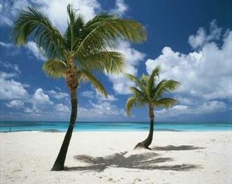 Barbuda West Indies Wall Mural Contemporary Wallpaper