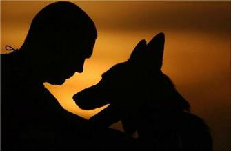 Wallpaper Pc Computer Friends Dog And