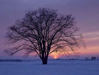 Mind Seasonal Affective Disorder An Extreme Case Of The Winter Blues