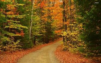Autumn Road Nature HD Wallpaper