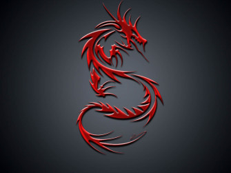 Draak Wallpaper
