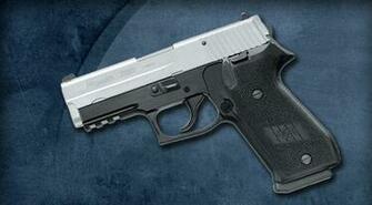 P220 Carry Two Tone Dak