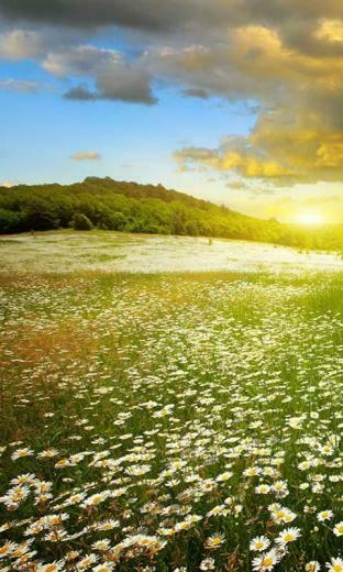 Landscape Live Wallpaper Android Apps On Google Play
