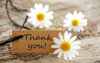 Wallpaper Flowers Map Chamomile Daisies Thank You