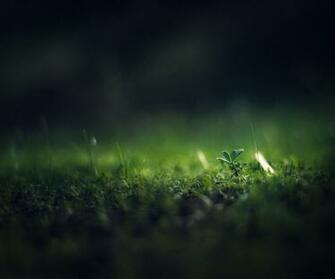 Soothing Wallpaper Full HD Pictures