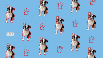 Boston University Terriers 6d9xohiw8powckzn Wallpaper