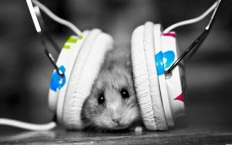 Dubstep Hamster HD Wallpaper