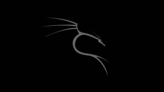 Kali Linux Wallpaper