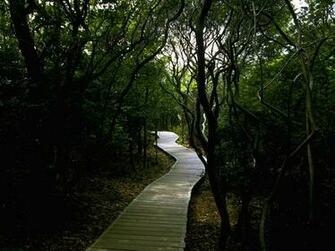 Fire Island National Seashore Park Service