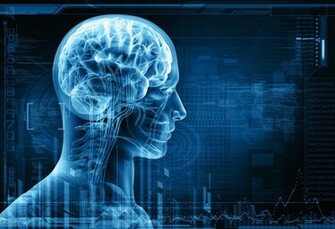 Medical Head Skull Digital D X Ray Xray Psychedelic Wallpaper