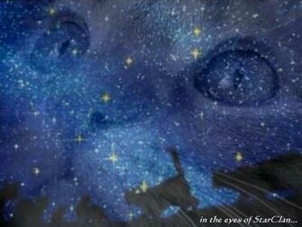 My Top Collection Warrior Cats Wallpaper