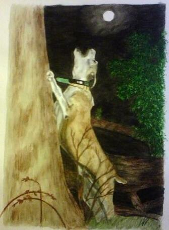 Coon Hunting Dog By Doggie Dew