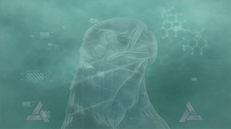 Animus Wallpaper
