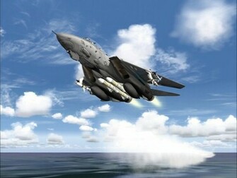 Tomcat Wallpaper F14