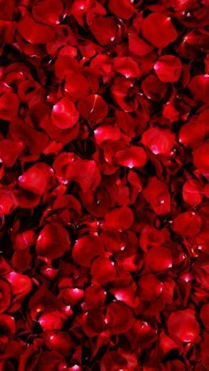 Emily Arroyo Laughlin On Red Love In