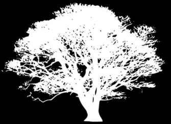 White Tree Silhouette On Black Clip Art At Clker Vector